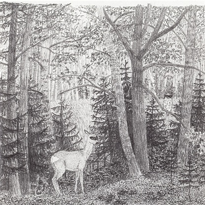 Bambi ja sarvip&ouml;ll&ouml; incognito I, 2010